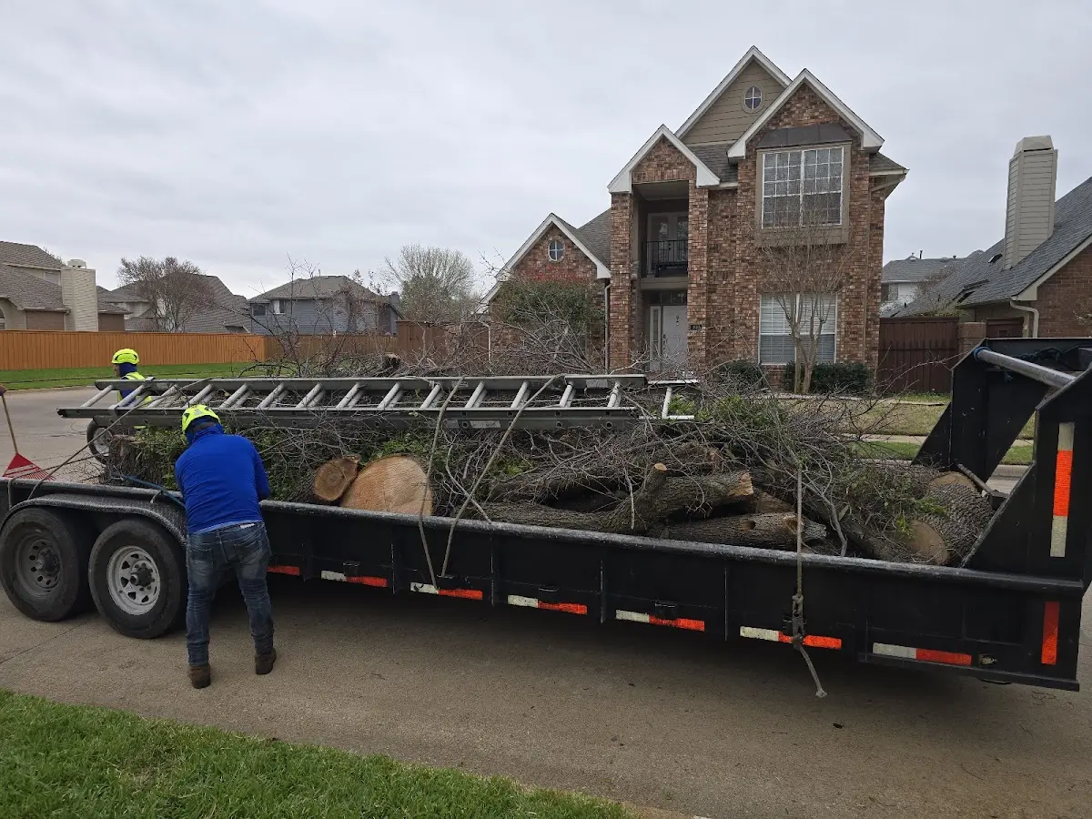 Expert Tree Fertilization with proper safety equipment in Butte